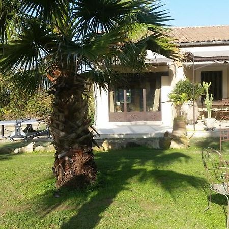 Provence Bed & Breakfast Carpentras ภายนอก รูปภาพ