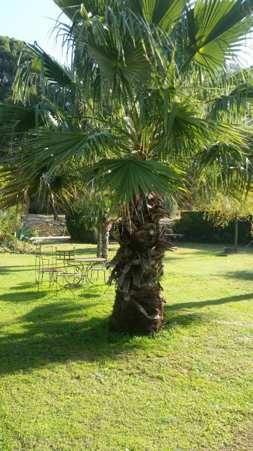 Provence Bed & Breakfast Carpentras ภายนอก รูปภาพ